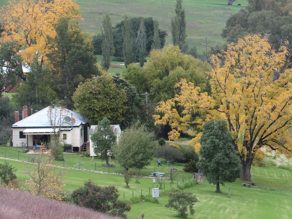 Elm Cottage Tumut Exterior photo